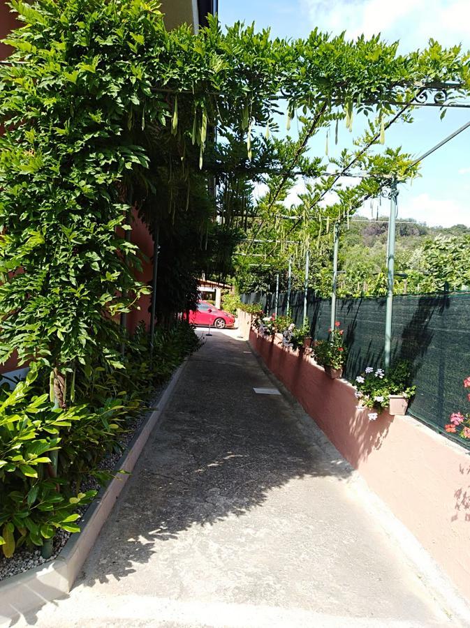 Casa Vacanze Mimose Palinuro Exterior foto